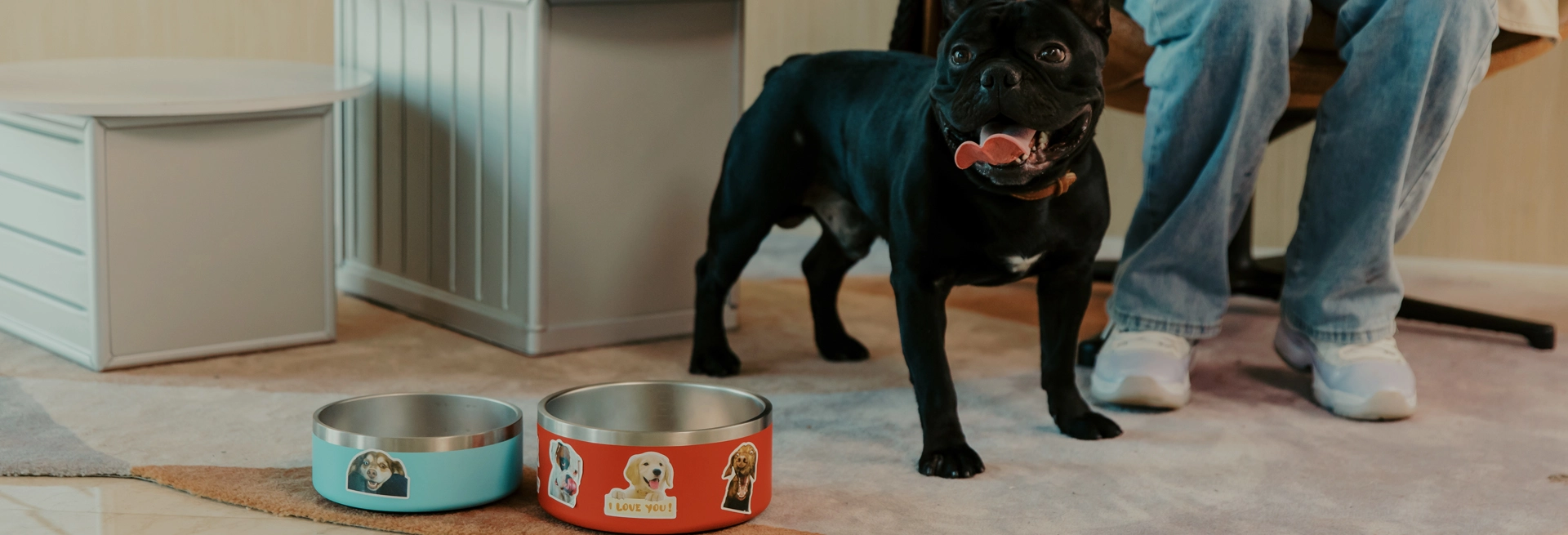 Großhandel Haustier Schüsseln mit Fabrik Direkt preis