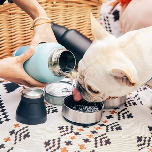 Haustier-Trink flasche mit Lebensmittel behälter 22011A